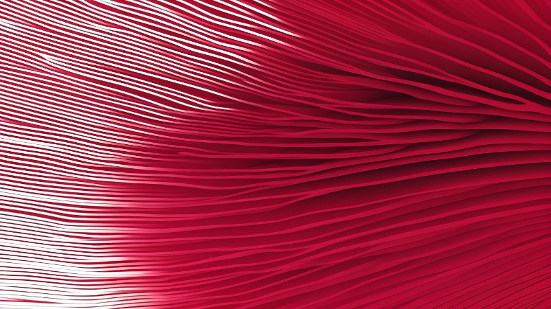 Abstract Red and White Mushroom Gills Wallpaper Design 