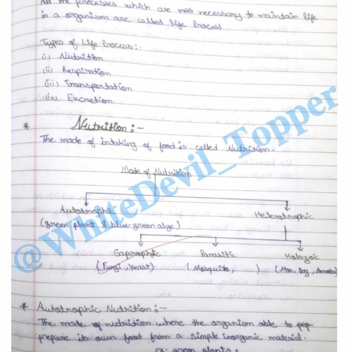 Life Process notes