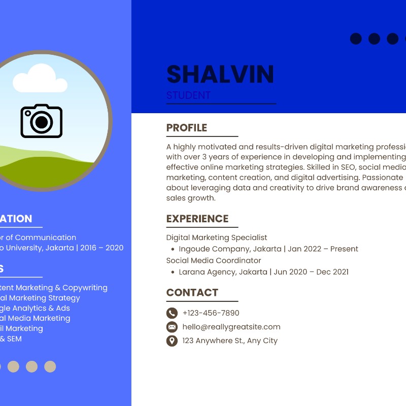 Modern Sky Blue Professional Resume Template (Canva)