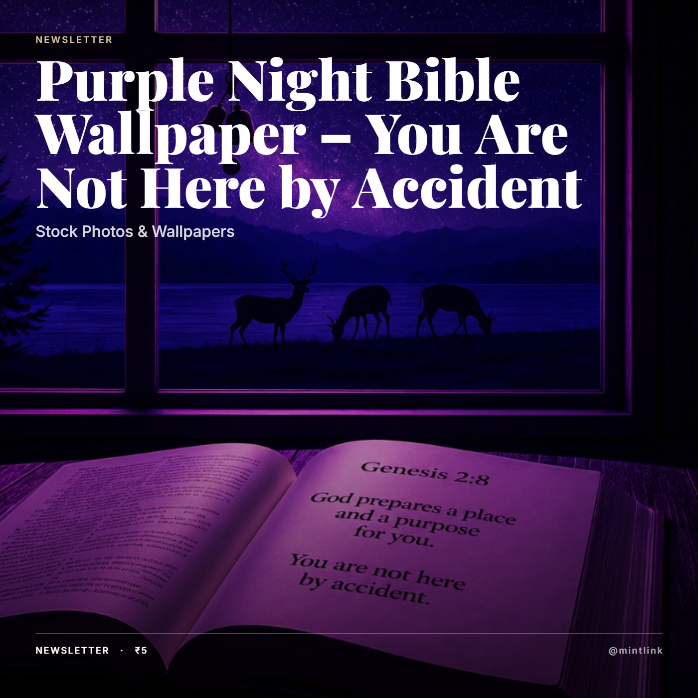 Purple Night Bible Wallpaper – You Are Not Here by Accident
