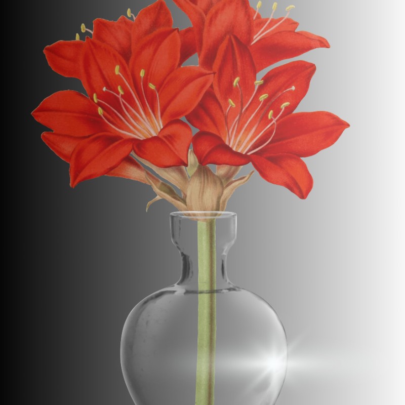 Red Botanical Flower Wall Art Printable Elegant red botanical flower wall art featuring a vintage glass vase on a dramatic dark gradient background. l.