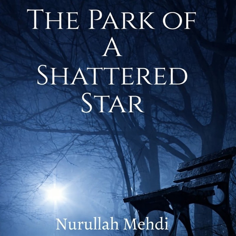 THE PARK OF A SHATTERED STAR