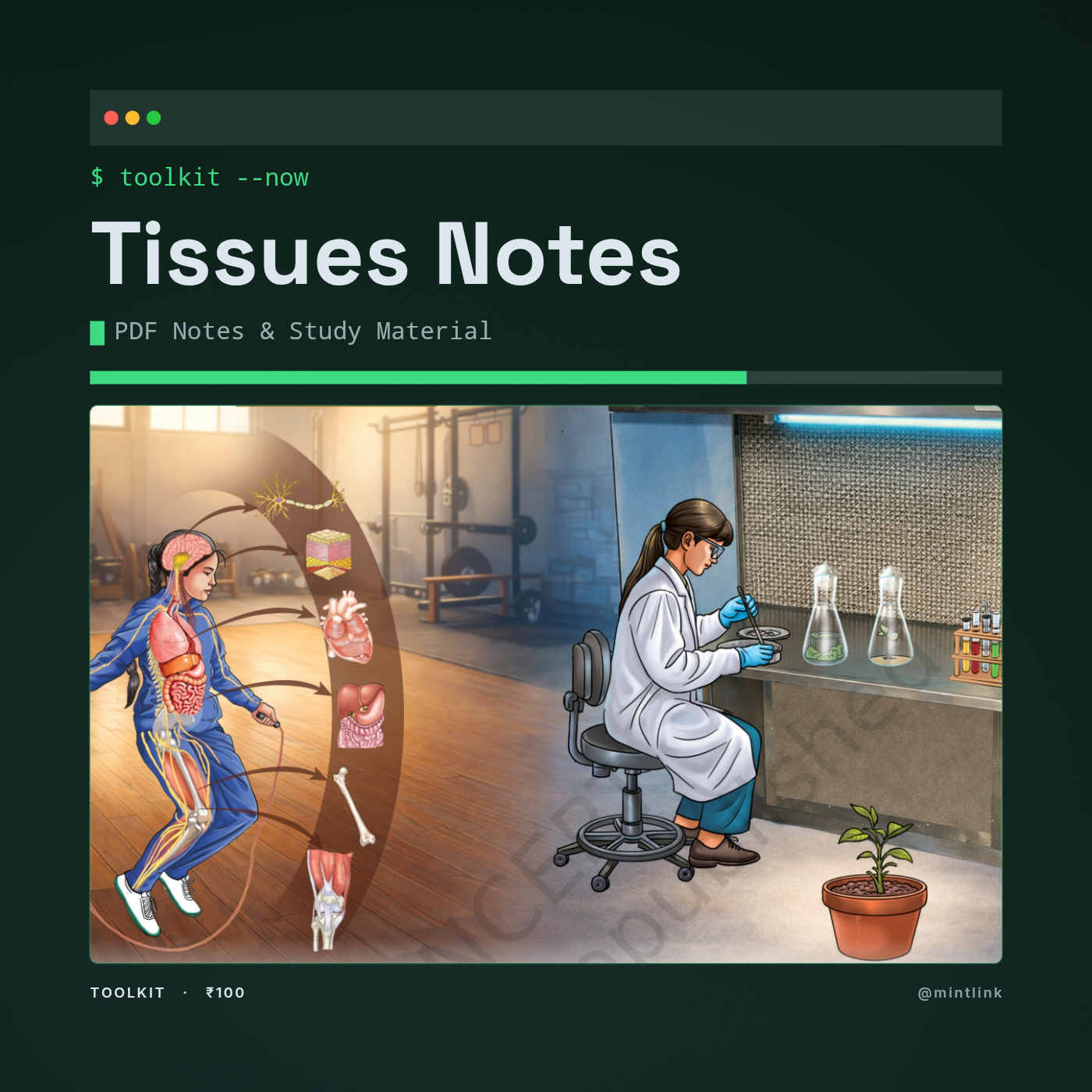 Tissues Notes